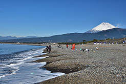 憩いの浜　千本