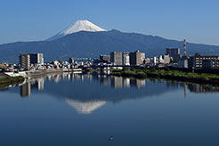 狩野川の朝