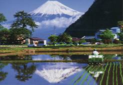 井田からの富士山。詳細は右記。