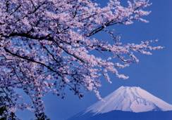 沼津御用邸記念公園からの富士山。詳細は右記。