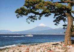 大瀬崎からの富士山。詳細は右記。