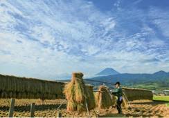 原からの富士山。詳細は右記。