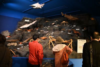 駿河湾深海生物館を見学する参加者のみなさん